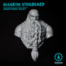 Cargar imagen en el visor de la galería, Busto anatómico de Gulgron Steelbeard

