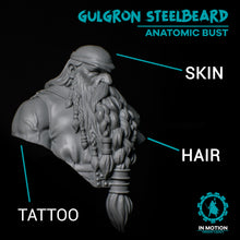 Cargar imagen en el visor de la galería, Busto anatómico de Gulgron Steelbeard
