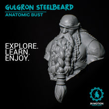 Load image into Gallery viewer, Gulgron Steelbeard anatomic bust
